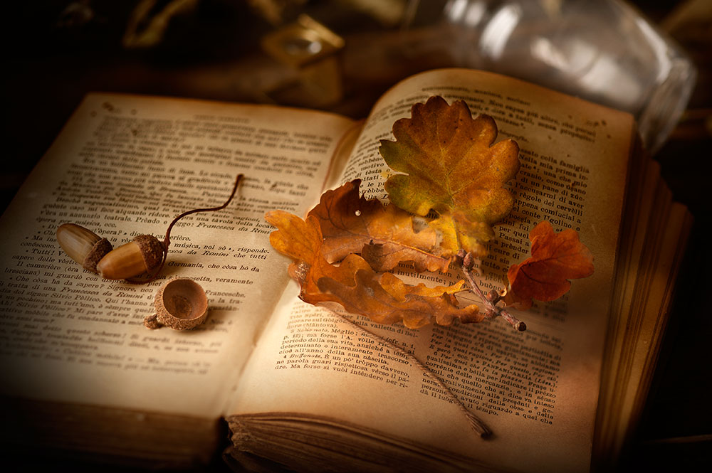 oak-leaves-on-a-book